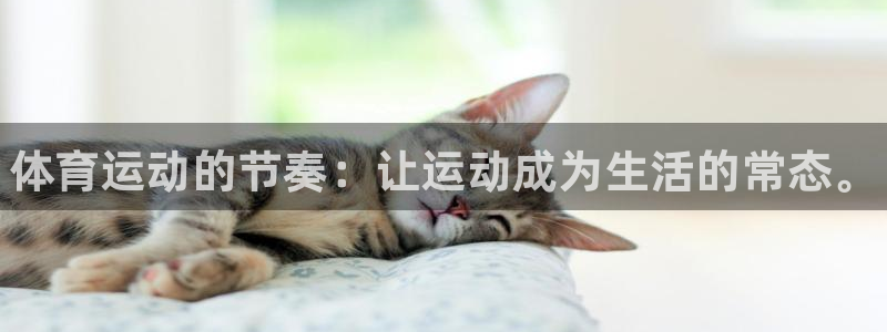 JJB竞技宝官网下载平台注册要钱吗是真的吗：体育运动的节奏：