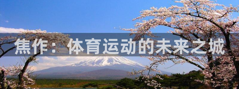 JJB竞技宝官方正版app集团官网首页