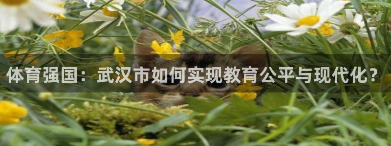 JJB竞技宝官方正版app娱乐：体育强国：武汉市如何实现教育