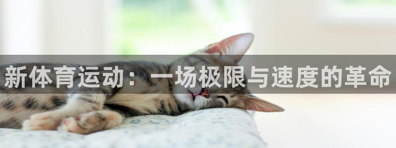 竞技宝合法安全吗：新体育运动：一场极
