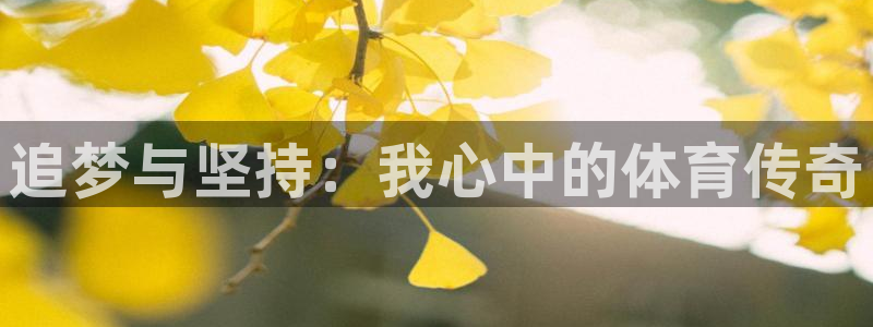 竞技宝手机版：追梦与坚持：我心中的体
