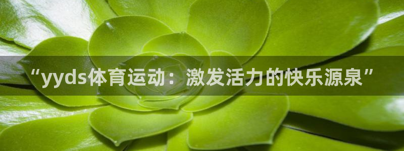 竞技宝入口官网