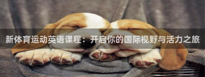 竞技宝下载
