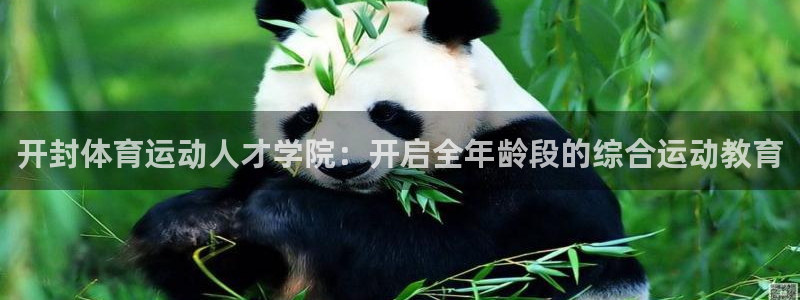 竞技宝客服APP：开封体育运动人才学
