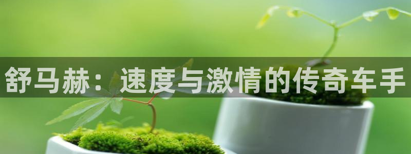 JJB竞技宝官方网站链接