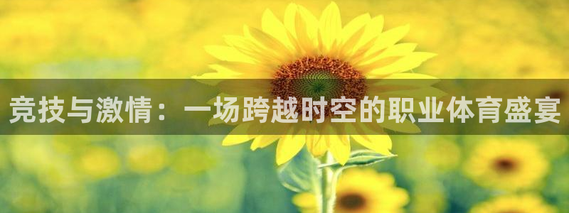 竞技宝提现不了
