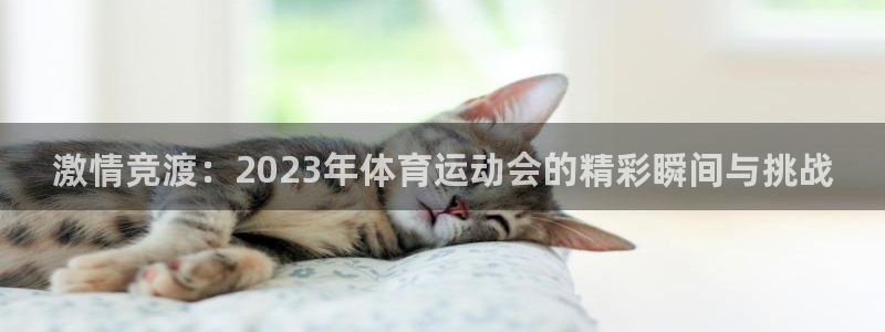  竞技宝网站安全吗看哈哈电竞：激情竞渡：2023年体育运动会的