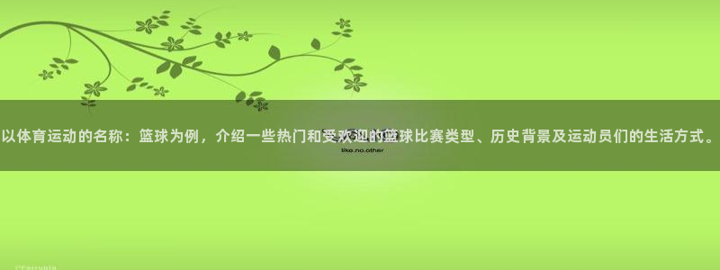  竞技宝公司：以体育运动的名称：篮球为例，介绍一些热门和受欢迎