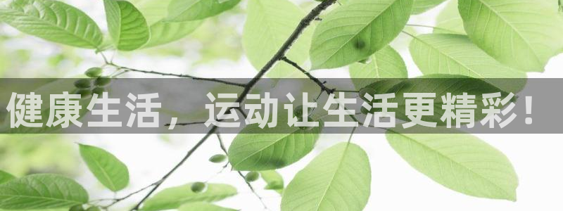 竞技宝可以玩什么平台不如哈哈电竞：健