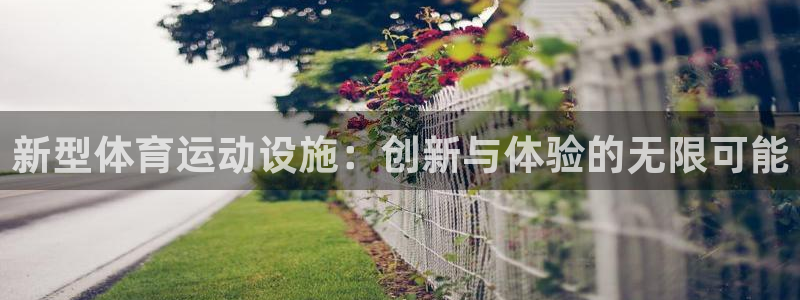 竞技宝公司：新型体育运动设施：创新与体验的无限可能