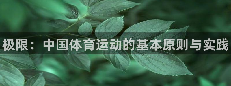 JJB竞技宝官网下载招商电话地址：极限：中国体育运动