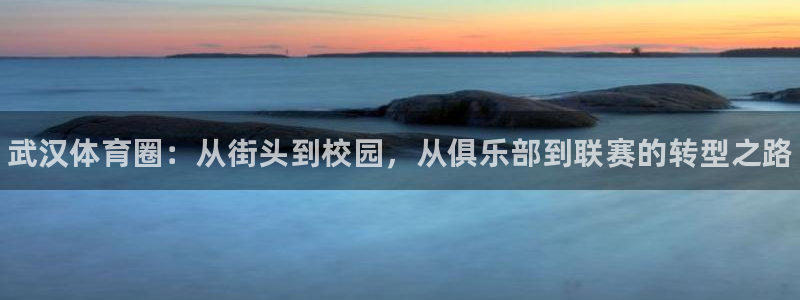 JJB竞技宝官方正版app集团官网首页：武汉体育圈：
