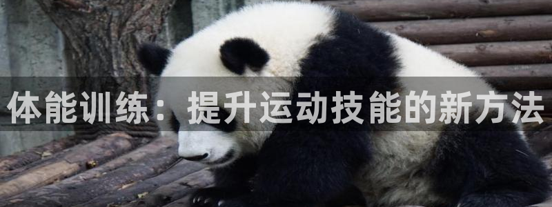 JJB竞技宝官网下载招商电话号码