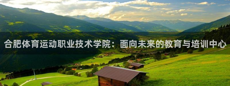 JJB竞技宝官方正版app神州：合肥体育运动职业技术