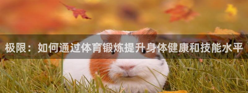 JJB竞技宝官网下载是干嘛的公司：极限：如何通过体育