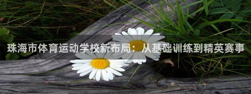 JJB竞技宝官网下载平台注册流程图:珠海市体育运动学校新布局