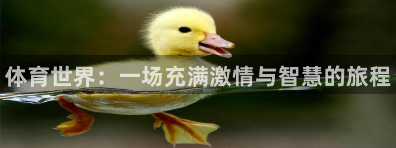 JJB竞技宝官网下载招商电话号码查询:体育世界:一场充满激情