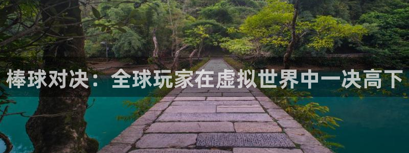 9255tv直播nba在线直播：棒球对决：全球玩家在虚拟世界中一决高下